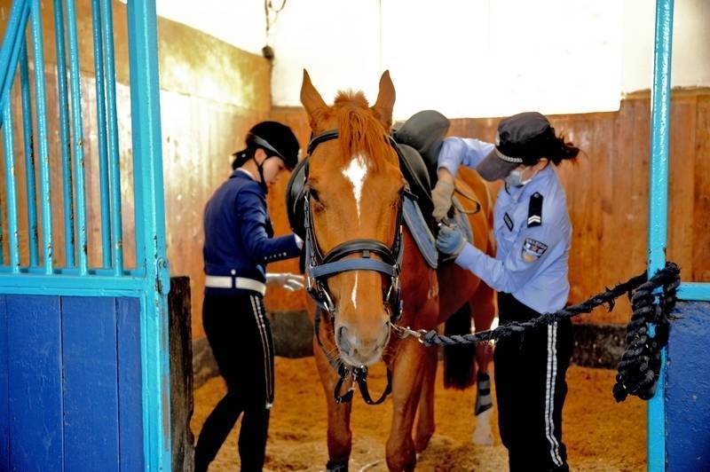 每匹馬養(yǎng)護(hù)成本2500元/月?探秘大連女騎警訓(xùn)練基地