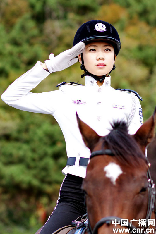 每匹馬養護成本2500元/月?探秘大連女騎警訓練基地