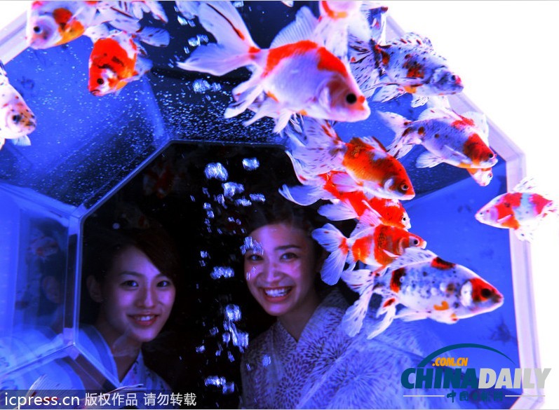 日本東京“藝術水族館”展覽開幕 展品精美別致