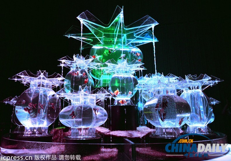日本東京“藝術(shù)水族館”展覽開幕 展品精美別致