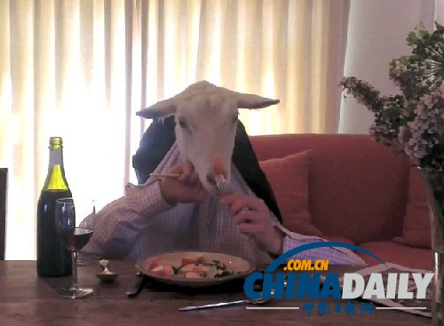 優(yōu)雅山羊女士網絡躥紅 報紙相伴自斟自飲欲覓佳偶