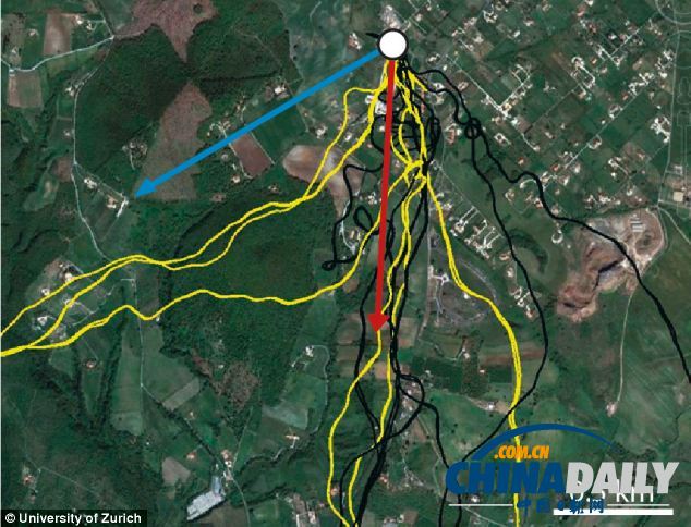 瑞士科學家發現鴿腦有空間地圖 助其找到回家的路