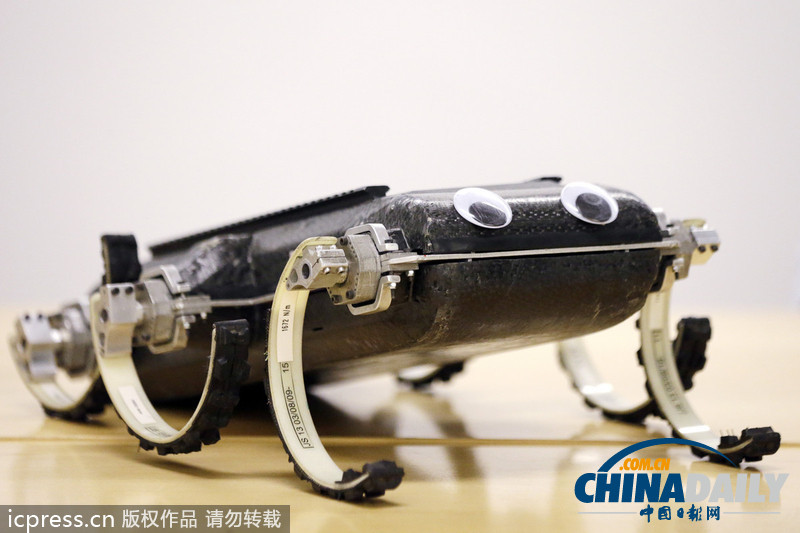 美國研發(fā)六足機器人 能跳躍爬墻空翻（圖）