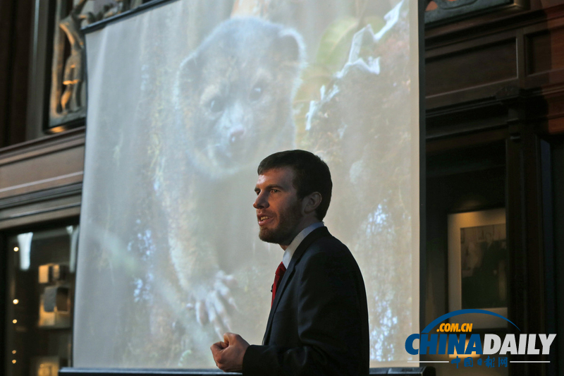 美國科學家發現半貓半熊新物種小型犬浣熊（高清組圖）