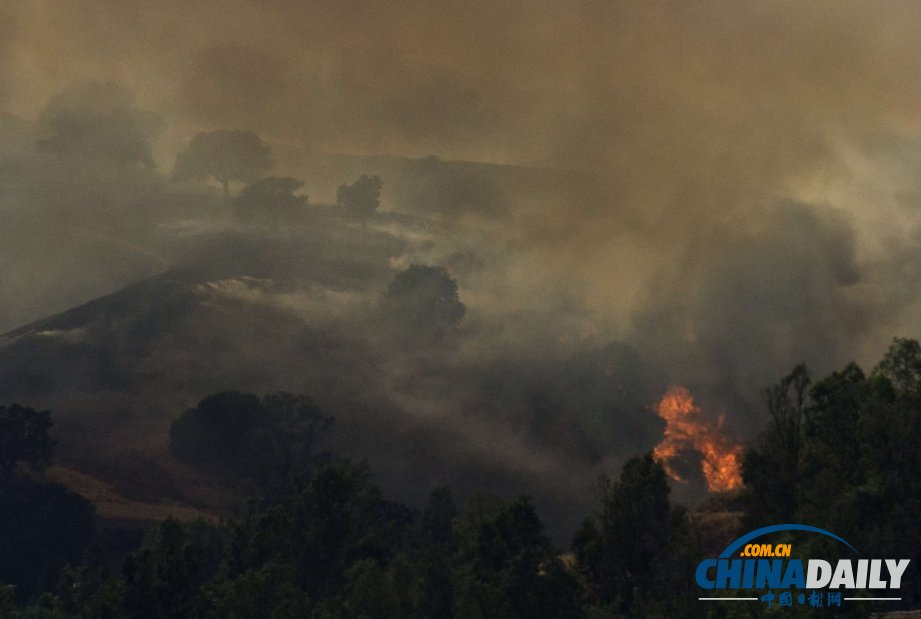 美國洛杉磯一汽車起火引發(fā)森林火災(zāi) 濃煙滾滾（圖）