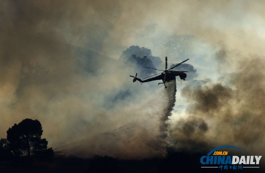 美國洛杉磯一汽車起火引發森林火災 濃煙滾滾（圖）