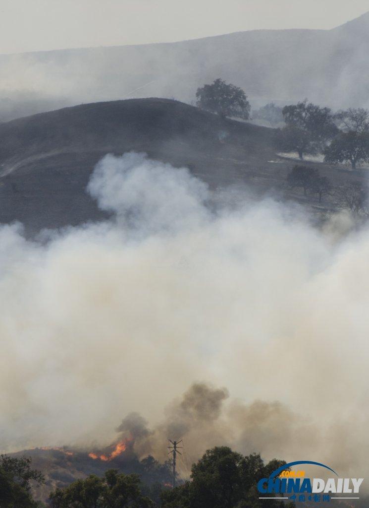 美國洛杉磯一汽車起火引發森林火災 濃煙滾滾（圖）