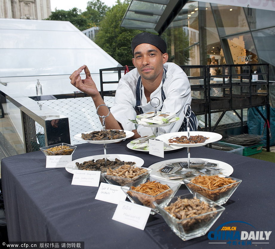 英國推出重口味昆蟲美食 “蝎子料理”驚嚇度爆表（高清組圖）