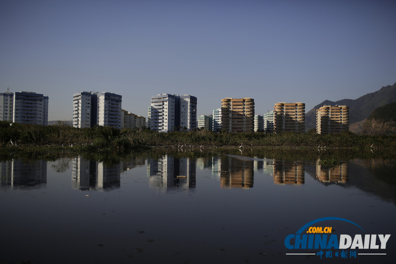 巴西奧林匹克公園附近發現10噸死魚 疑水污染所致（組圖）