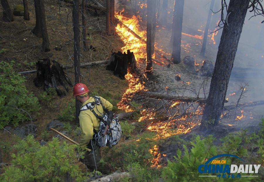 加州森林大火持續蔓延 舊金山水源遭到威脅（組圖）