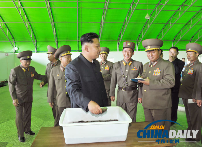 金正恩視察養(yǎng)魚場(chǎng) 要求大量生產(chǎn)鱘魚等供應(yīng)國(guó)際市場(chǎng)（組圖）