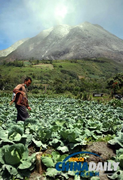 印尼錫納朋火山爆發(fā) 學(xué)生戴口罩淡定上課（組圖）