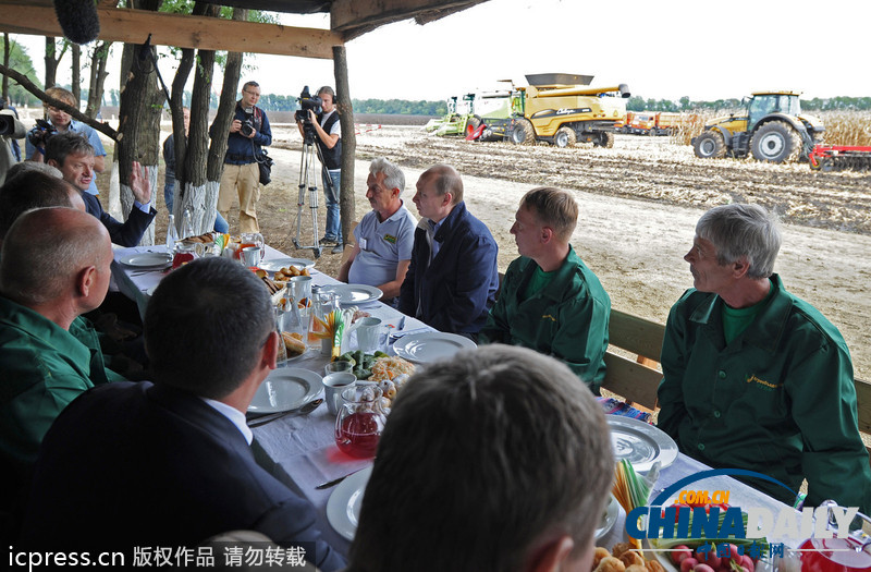 普京視察秋收情況 自稱對著鏡頭很難盡情用餐（圖）