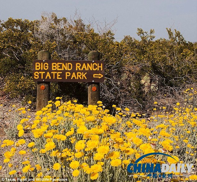 美國女記者險(xiǎn)被政府關(guān)門害死 公園遠(yuǎn)足迷路數(shù)天終獲救