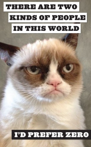 精靈古怪“壞脾氣貓”爆紅 一同領略霸氣背后的悲傷