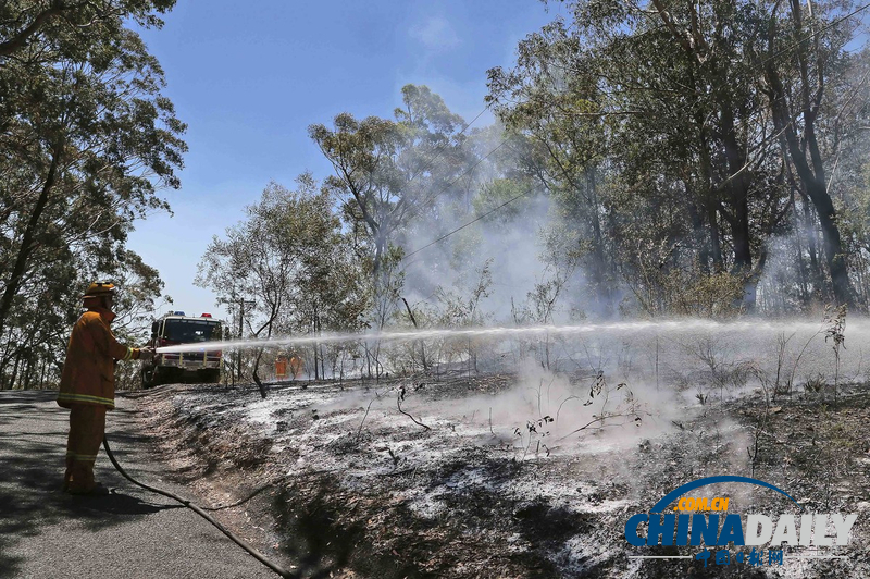 澳大利亞山火持續肆虐 滅火飛機墜毀飛行員生死未卜