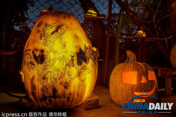 美國舉行創意南瓜燈展 數千作品讓人眼花繚亂