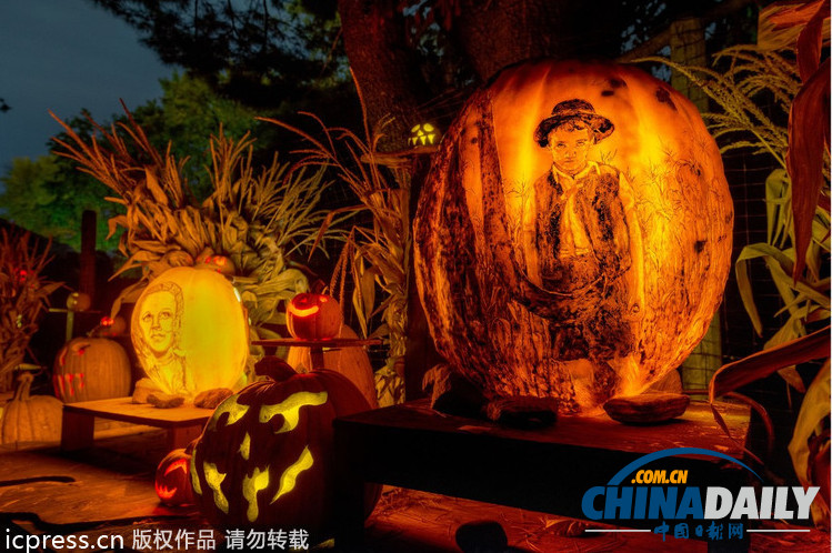 美國舉行創(chuàng)意南瓜燈展 數(shù)千作品讓人眼花繚亂
