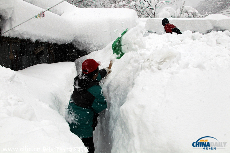 韓國(guó)暴雪持續(xù)5日 汽車(chē)被埋紅綠燈遭積雪覆蓋