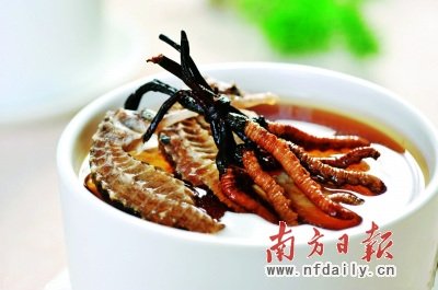 蟲草價格已是黃金兩倍 專家稱營養(yǎng)價值等于蘑菇