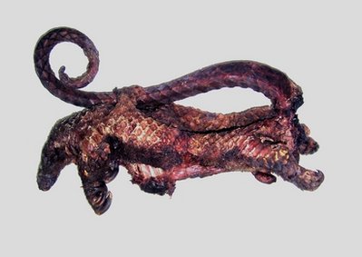 Tons of bushmeat smuggled into Paris, study finds