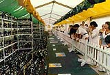 Bierborse（啤酒節）