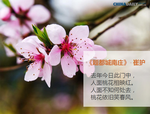 關(guān)于春天的五首中國(guó)古詩（組圖）