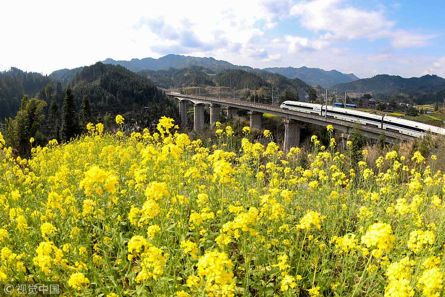 踏青季：春天盛開(kāi)的9種鮮花 哪一種最美？（組圖）