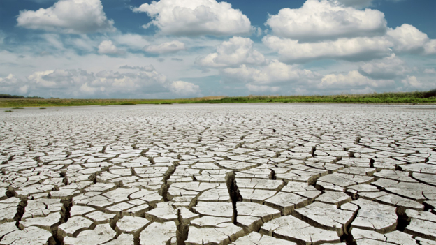 COP21: The economics behind climate change 巴黎氣候大會：氣候變化背后的經(jīng)濟變化