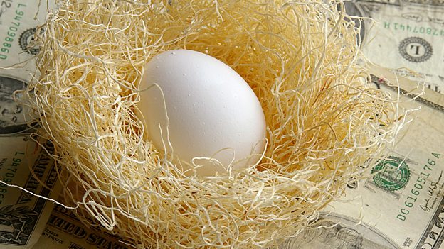 A nest egg 儲(chǔ)備金