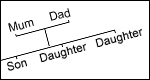 Family Relationships 親屬關系
