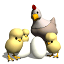 雞生蛋，蛋生雞？