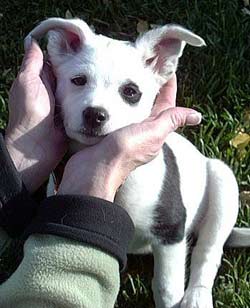 人們?cè)敢赓?gòu)買(mǎi)親手摸過(guò)的商品