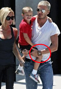 健康神話還是偽科學?