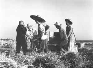 家庭聯產承包責任制 Household Contract Responsibility System