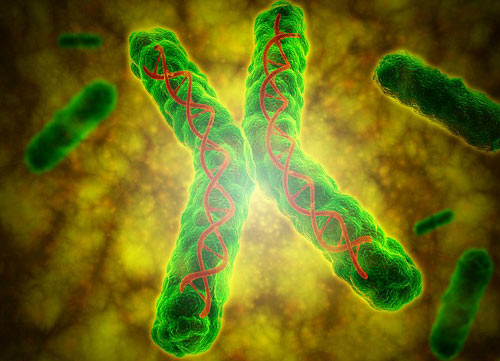 科學家成功使人體細胞“返老還童”