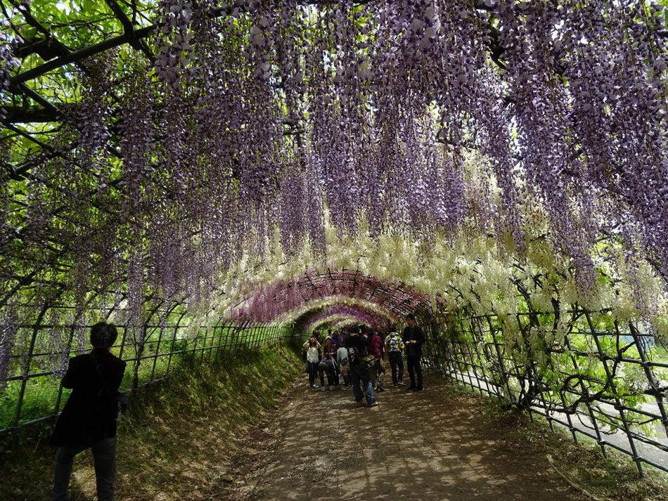 繽紛、靈動、斑斕：世界上最美的18座花園