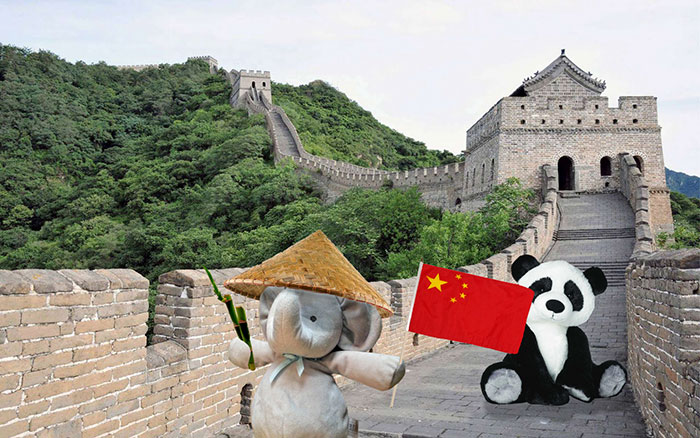 寶貝，你的小象不是丟了，而是去環游世界了（組圖）