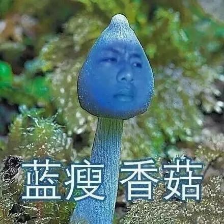 盤點：2016年度網絡熱詞你全懂嗎？（組圖）