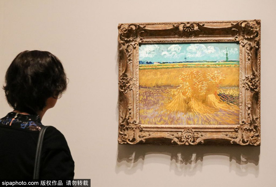 全球獨家！世界上首個梵高個人作品展在墨爾本舉辦（組圖）