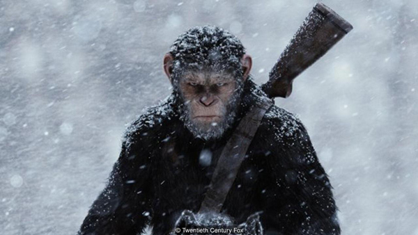 BBC推薦：7月不容錯過的8部佳片