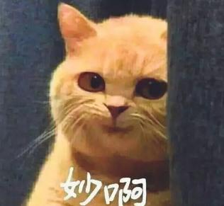 揭秘各國(guó)兵哥哥的野戰(zhàn)口糧！看到韓國(guó)的，忍不住笑出了聲…