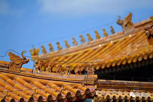 習近平特朗普同游故宮！那些讓特朗普驚嘆的殿、樓、齋，用英文怎么說？