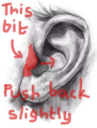 10個關于身體的小秘密,為什么我現在才知道!