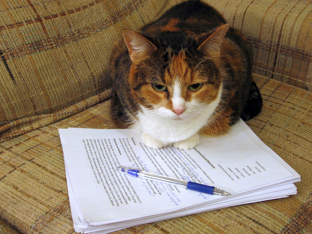 考研英語寫作:常用的14個經(jīng)典過渡句