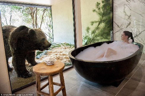 旅館？動物園？這是澳大利亞加馬拉野生動物旅館！