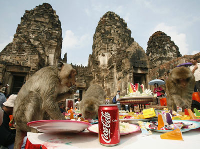 Monkey Buffet Festival