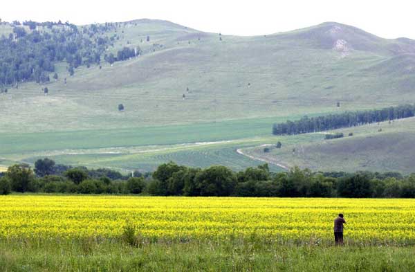 Scenery of Hulun Buir grassland
