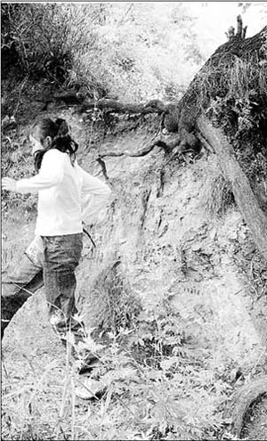 北大MBA夫婦帶女兒隱居終南山三年遍讀經(jīng)典