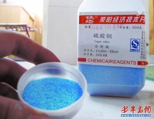 商家曝光粽葉鮮亮內幕：大多用硫酸銅浸泡(組圖)